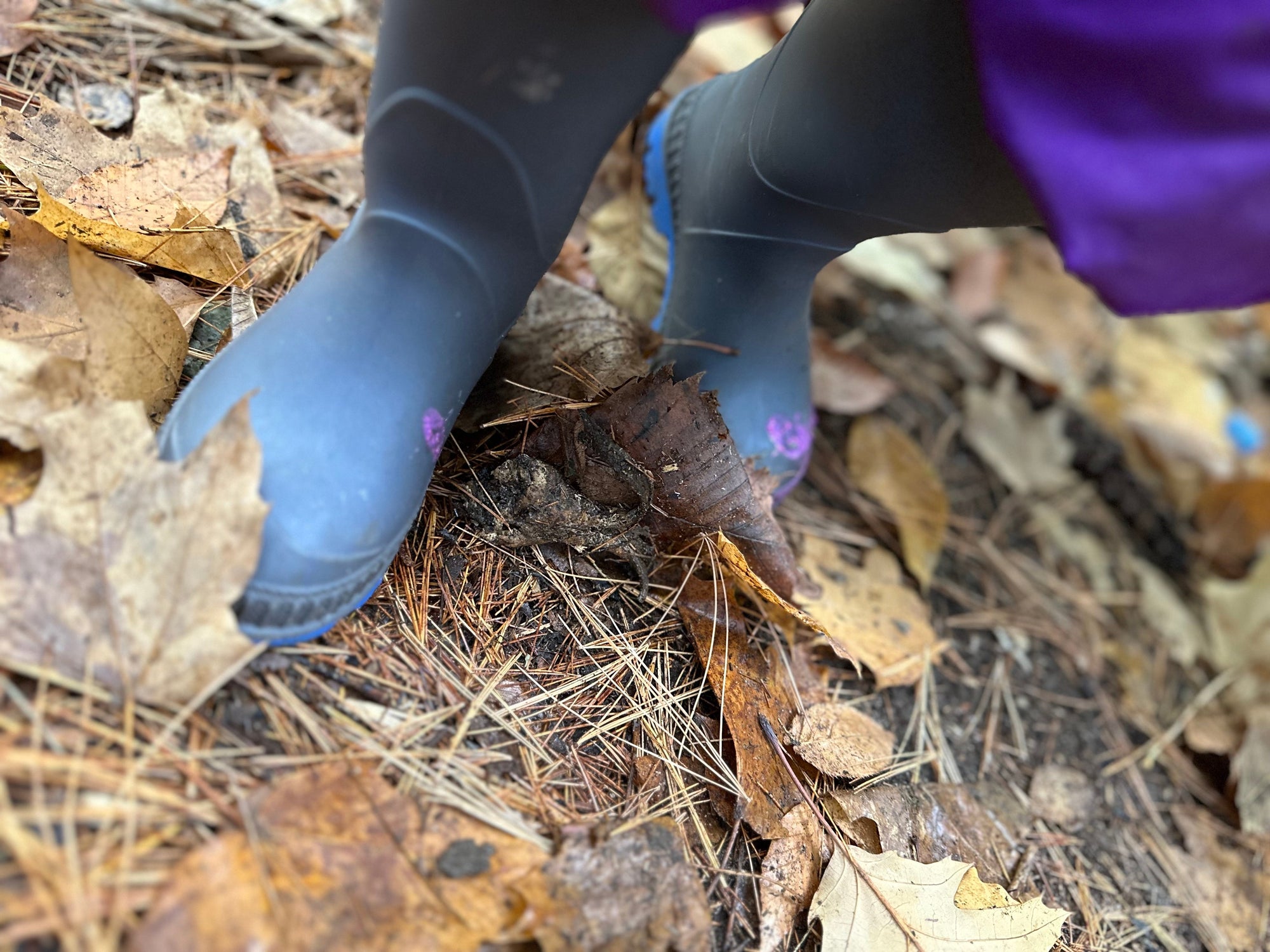 From Plans to Puddles: Learning to Teach Through Play and Place