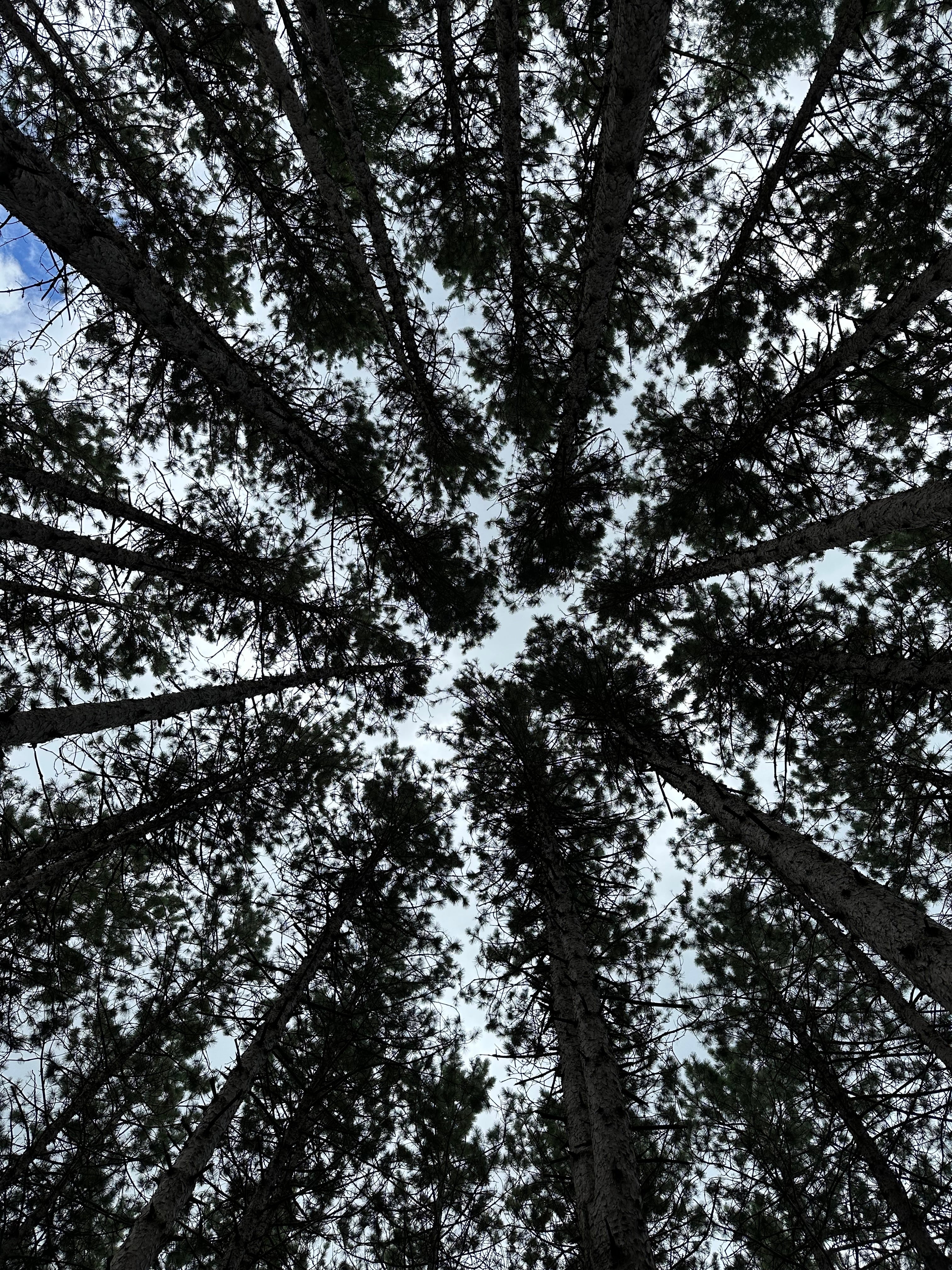 Burnout: The Tale of a Not-For-Profit Leader