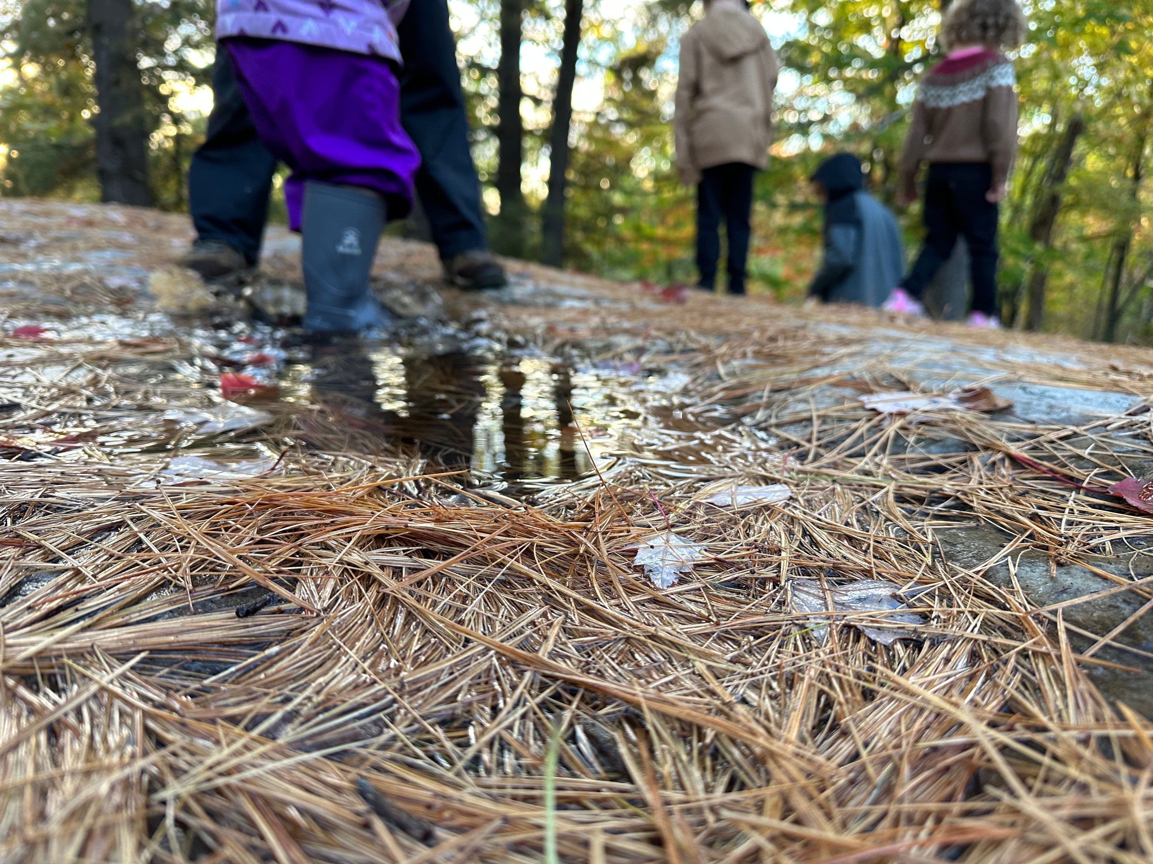 Understanding Play Security Through Upstream, Midstream, and Downstream Determinants