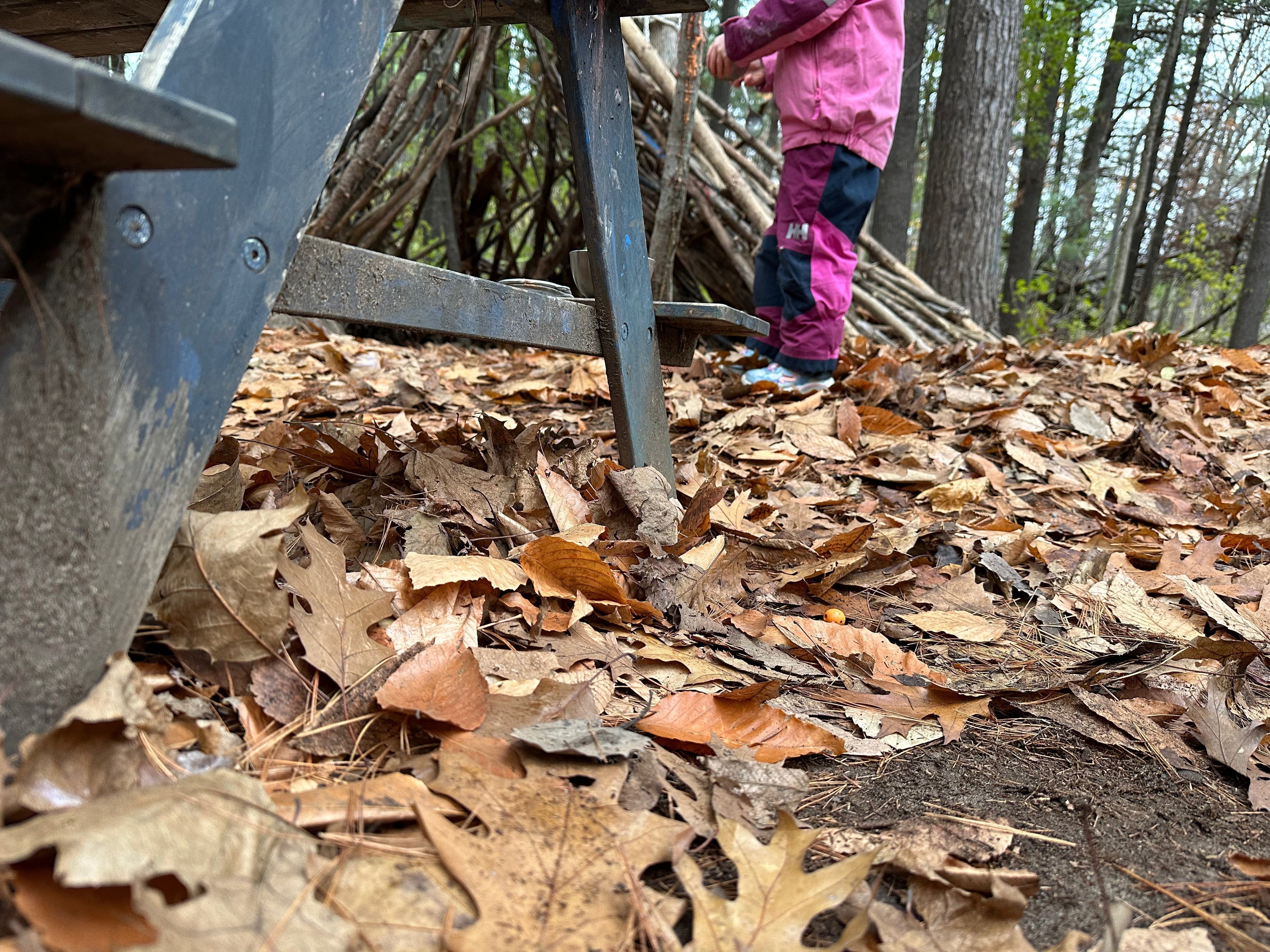 Of Two Minds: Reflecting Toward Systems Change Through Playful Pedagogy