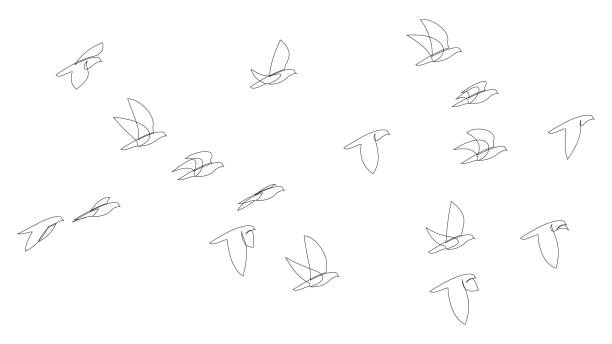 To Lead or Not to Lead: Murmurations on Leadership